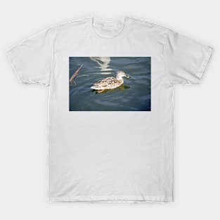 Ducks in Winter T-Shirt